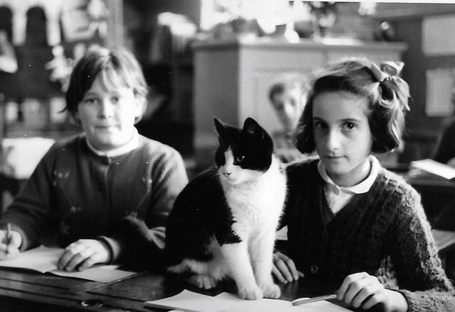1960 - Cherry Porter, Hazel Scott nee Chapman & Monday the cat